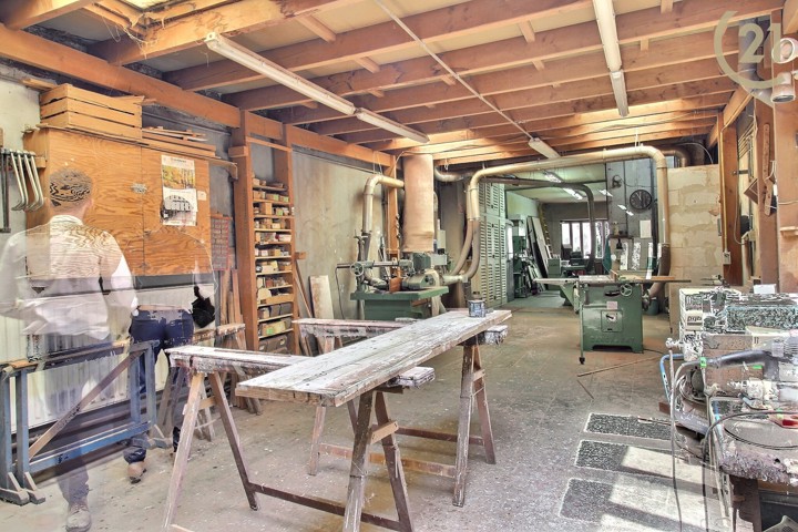 TULIPE 65-ATELIER-1050-VM-2025