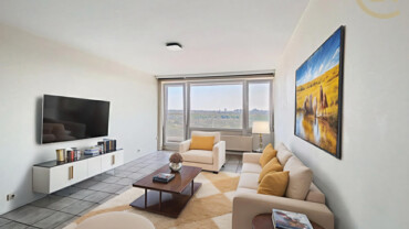 Marius Renard 27a – 19ème – 1070